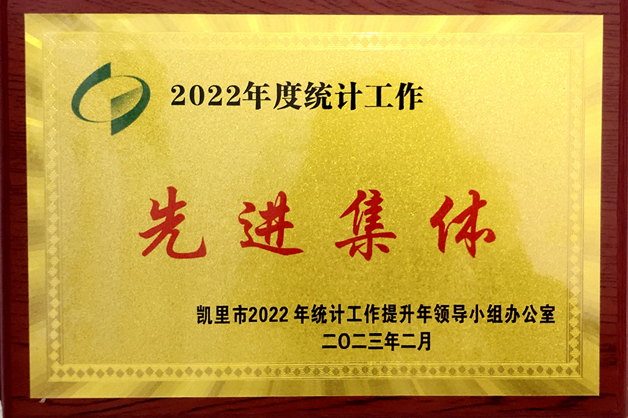 凱里市2022年度統(tǒng)計(jì)工作“先進(jìn)集體”榮譽(yù)稱(chēng)號(hào)-貴州生物制藥